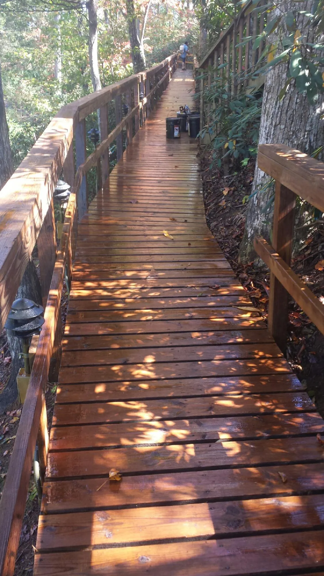 Freshly stained wood walkway winding through the woods in Phoenix